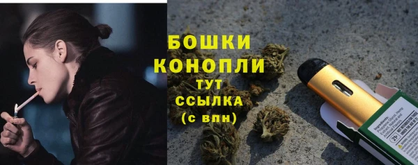МДПВ Новозыбков