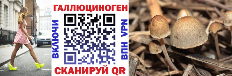Галлюциногенные грибы мицелий  Тарко-Сале 